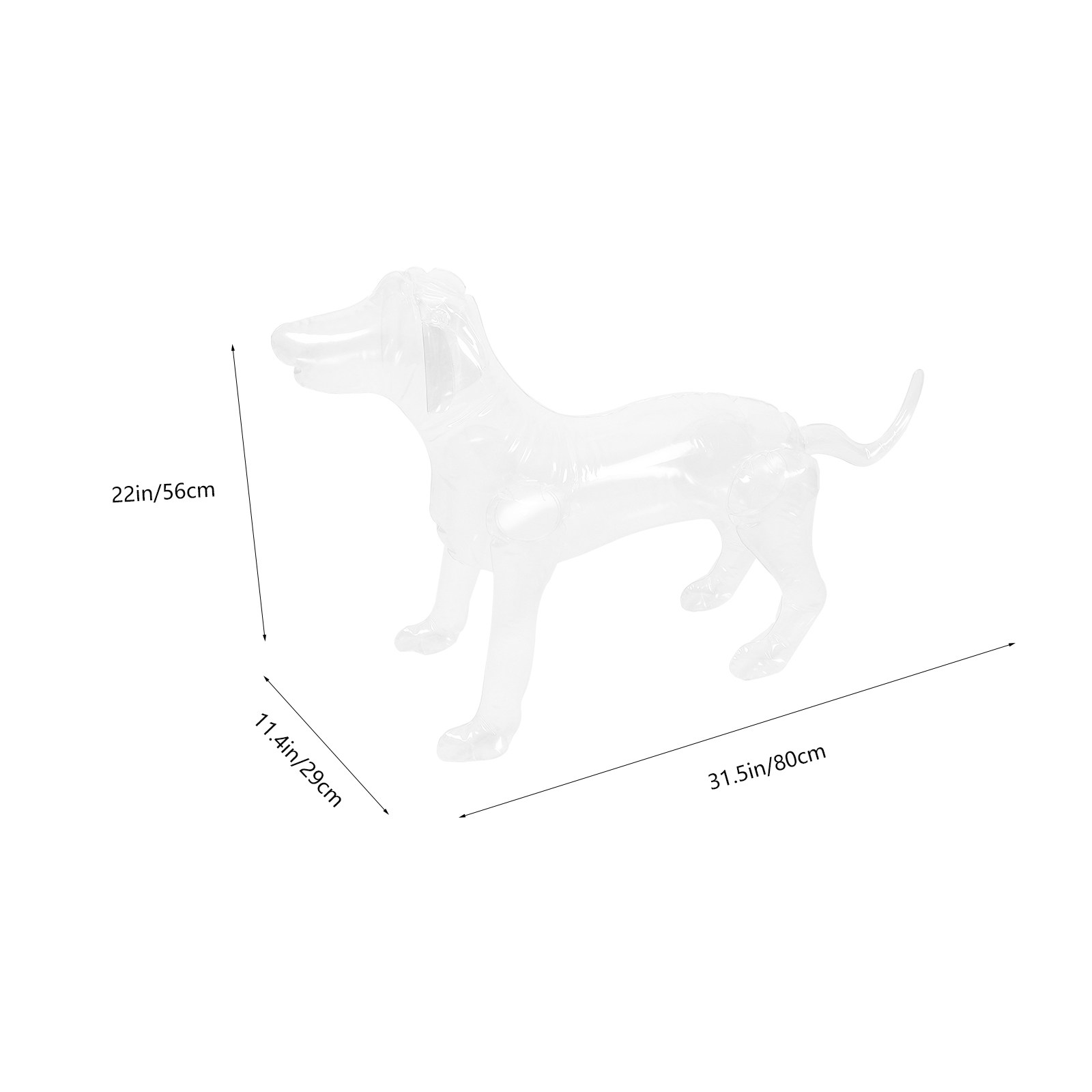 Manichino Gonfiabile per Cani  - Baby Clothing Display recensione e prezzo
