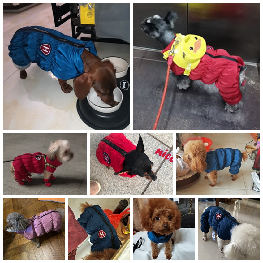 Tuta impermeabile per cani uni - Baby Clothing Winter recensione e prezzo
